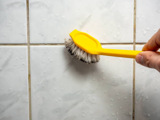 Best Mold Remediation Experts  in Velva, ND