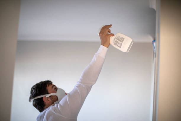 Office Mold Removal Services in Velva, ND