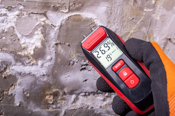 Best Crawl Space Mold Removal  in Velva, ND