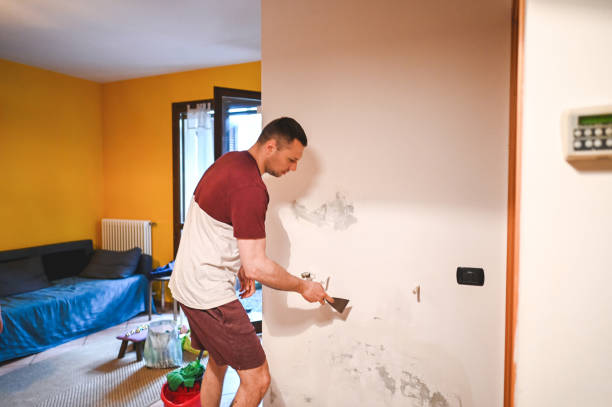 Best Mold Removal Near Me  in Velva, ND